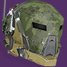 A thumbnail image depicting the Wildwood Helm.