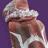 A thumbnail image depicting the Tangled Web Cloak.
