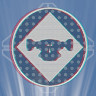 Icon depicting Dropship Projection.
