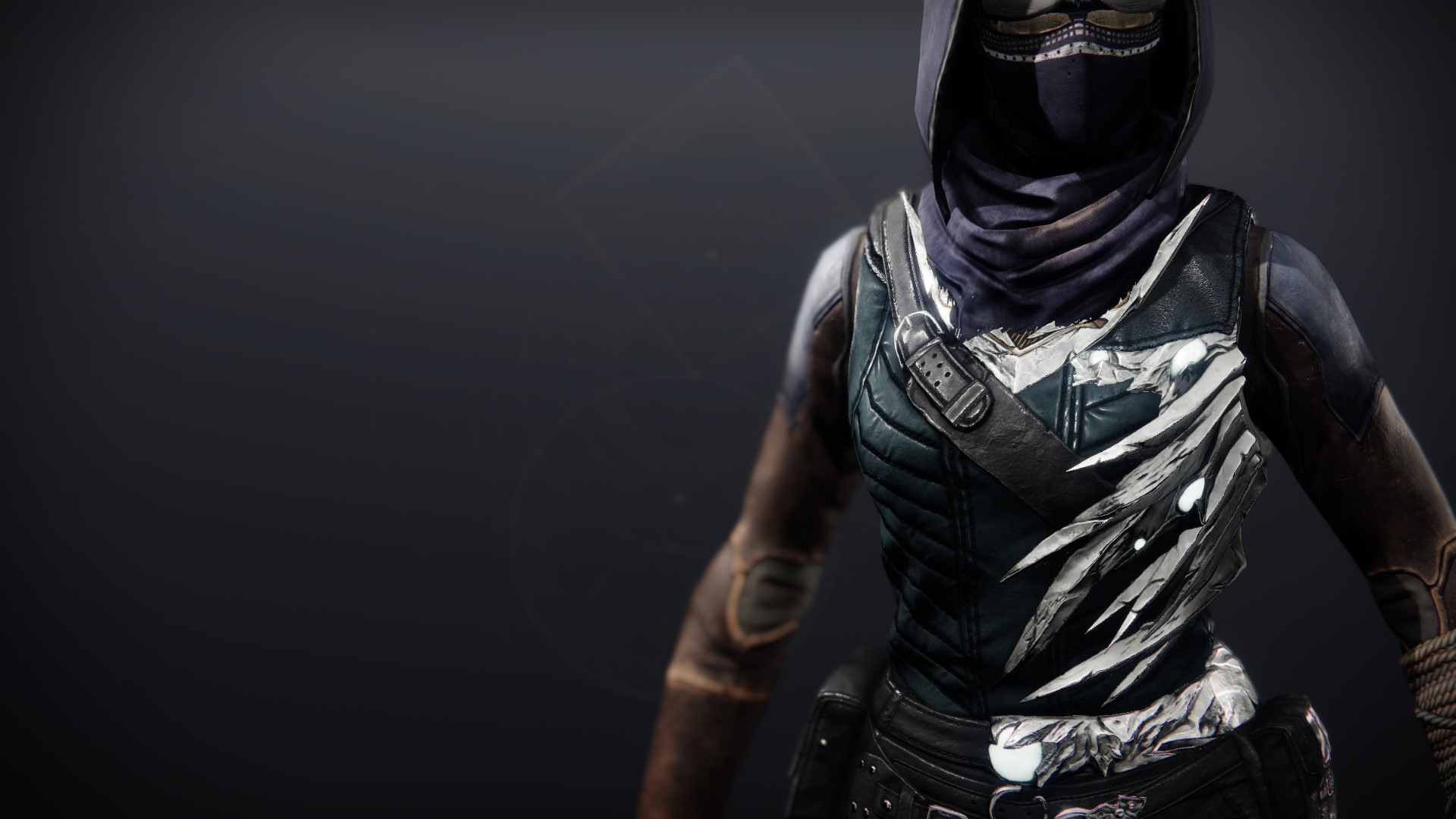 An in-game render of the Twisting Echo Vest.