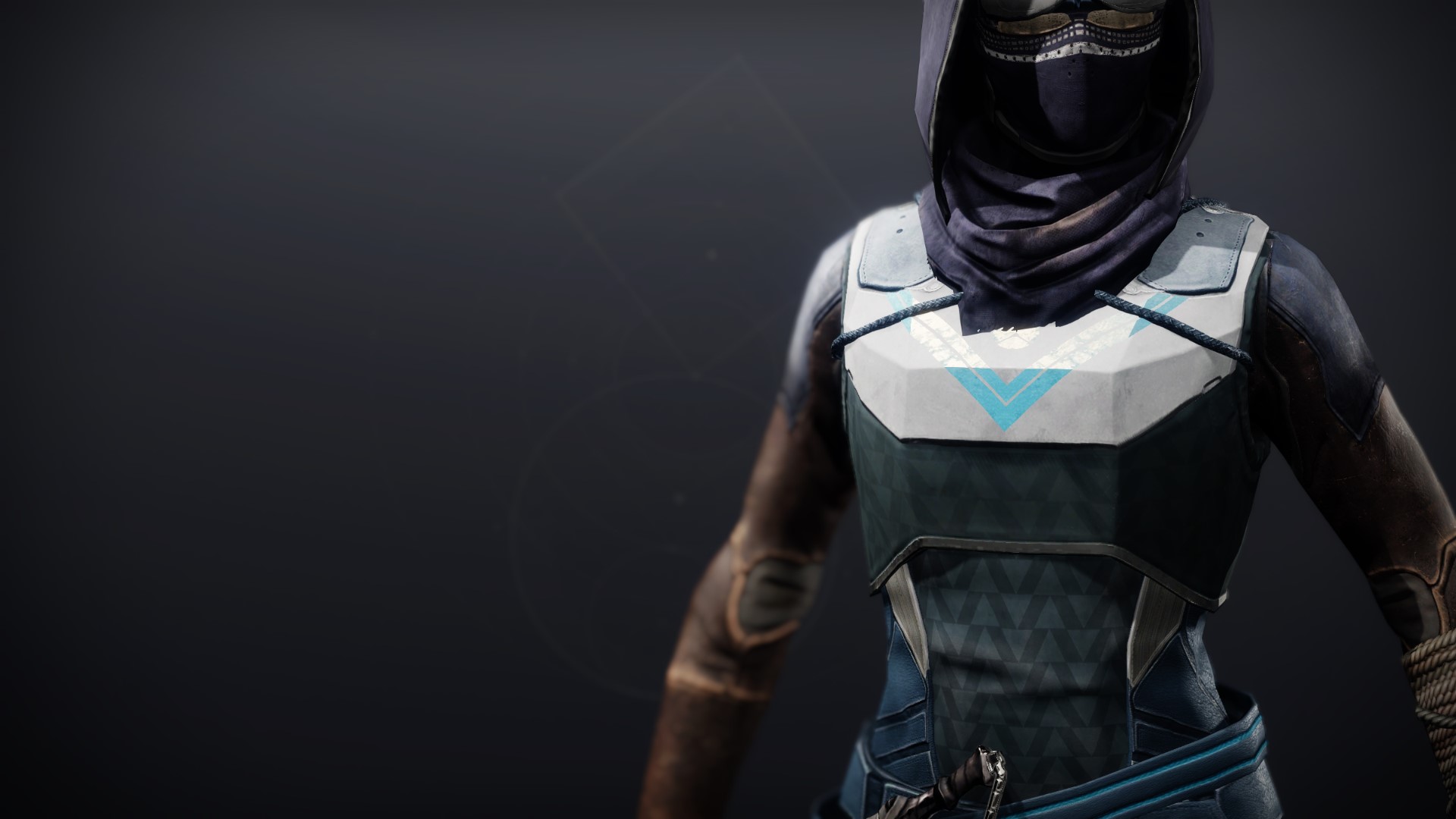 An in-game render of the Frumious Vest.