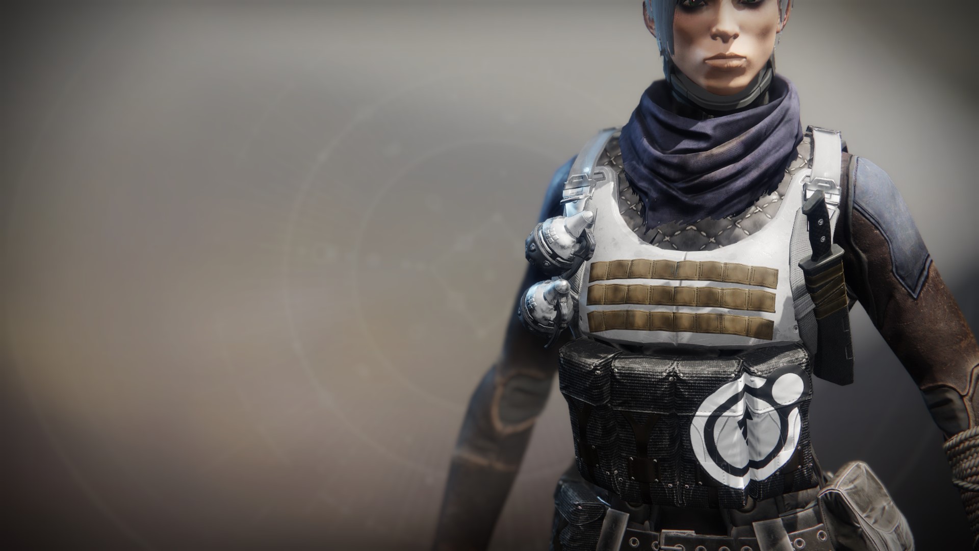 An in-game render of the Anti-Extinction Vest.