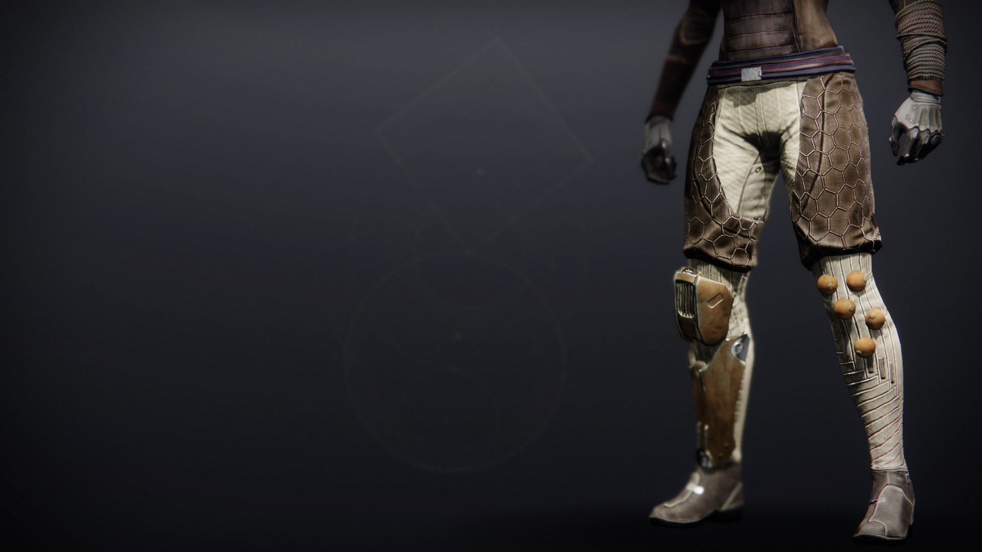 An in-game render of the Tangled Web Strides.