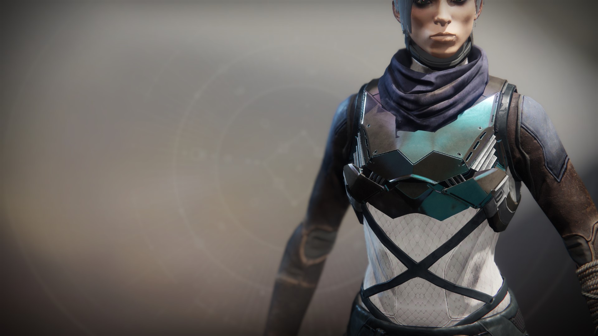 An in-game render of the Flowing Vest.