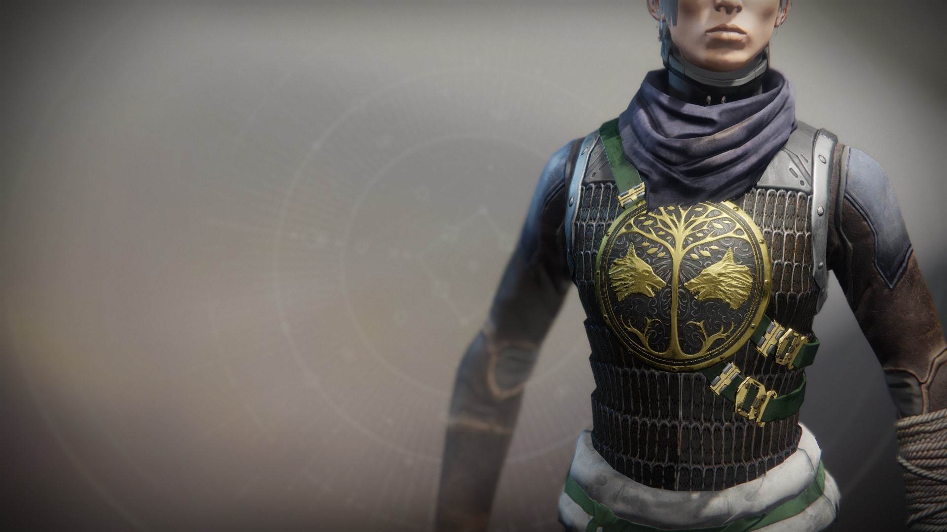 An in-game render of the Iron Truage Vest.