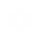 Shining Winter