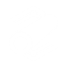 Polygonal Rifling