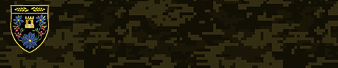 Emblem Detail: Rogue Hunter - Destiny Emblem Collector