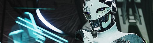 Image of Ada-1, Armor Synthesis from Destiny 2.