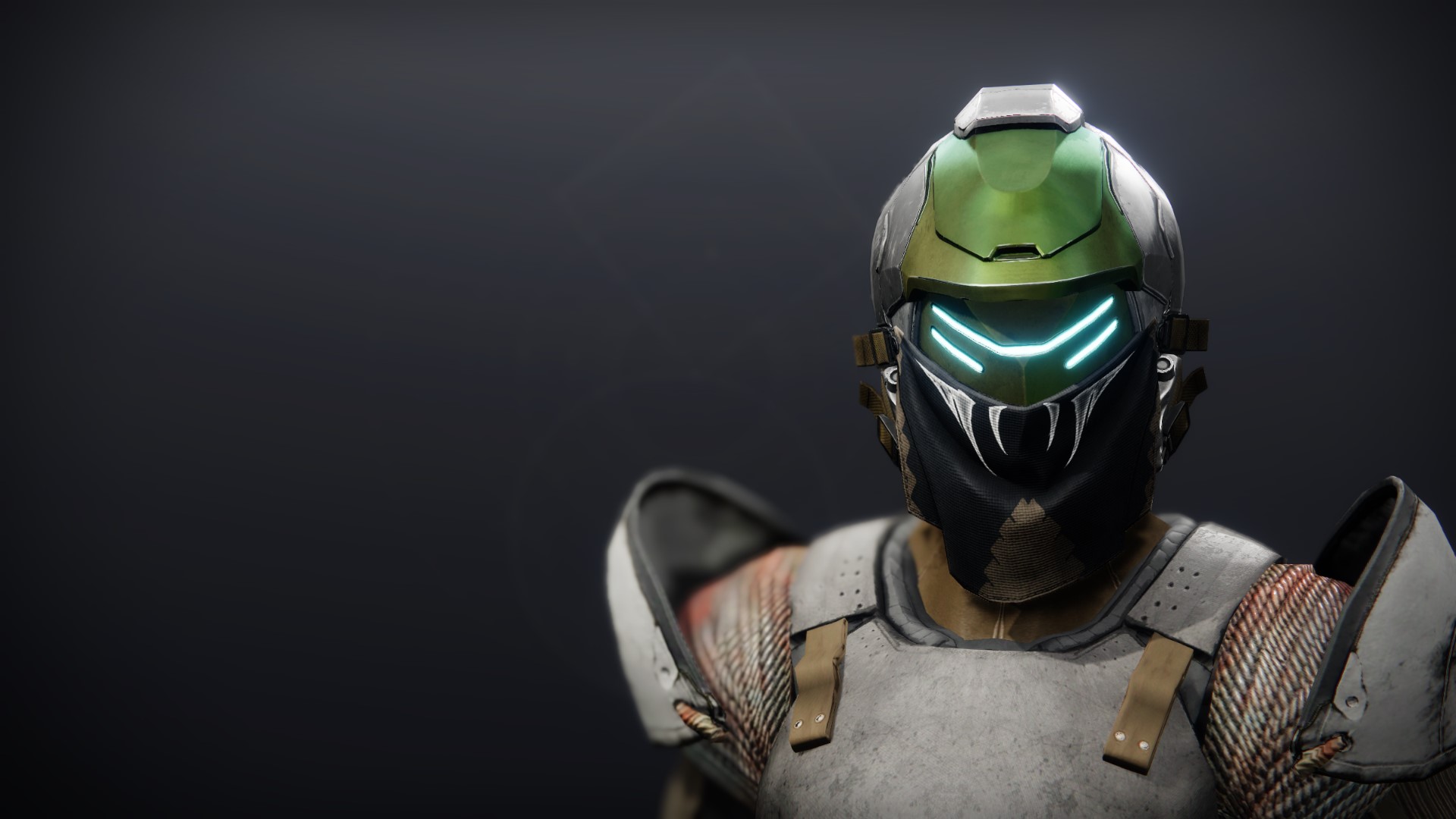 An in-game render of the Illicit Collector Helm.