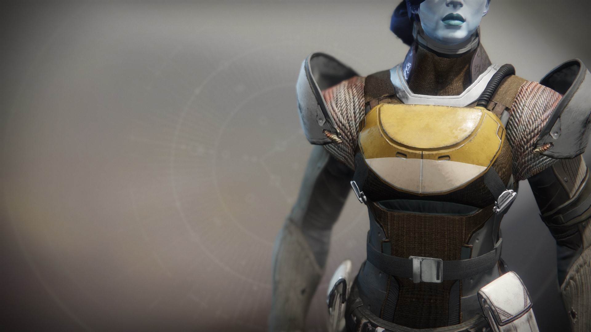 An in-game render of the Shieldbreaker Plate.