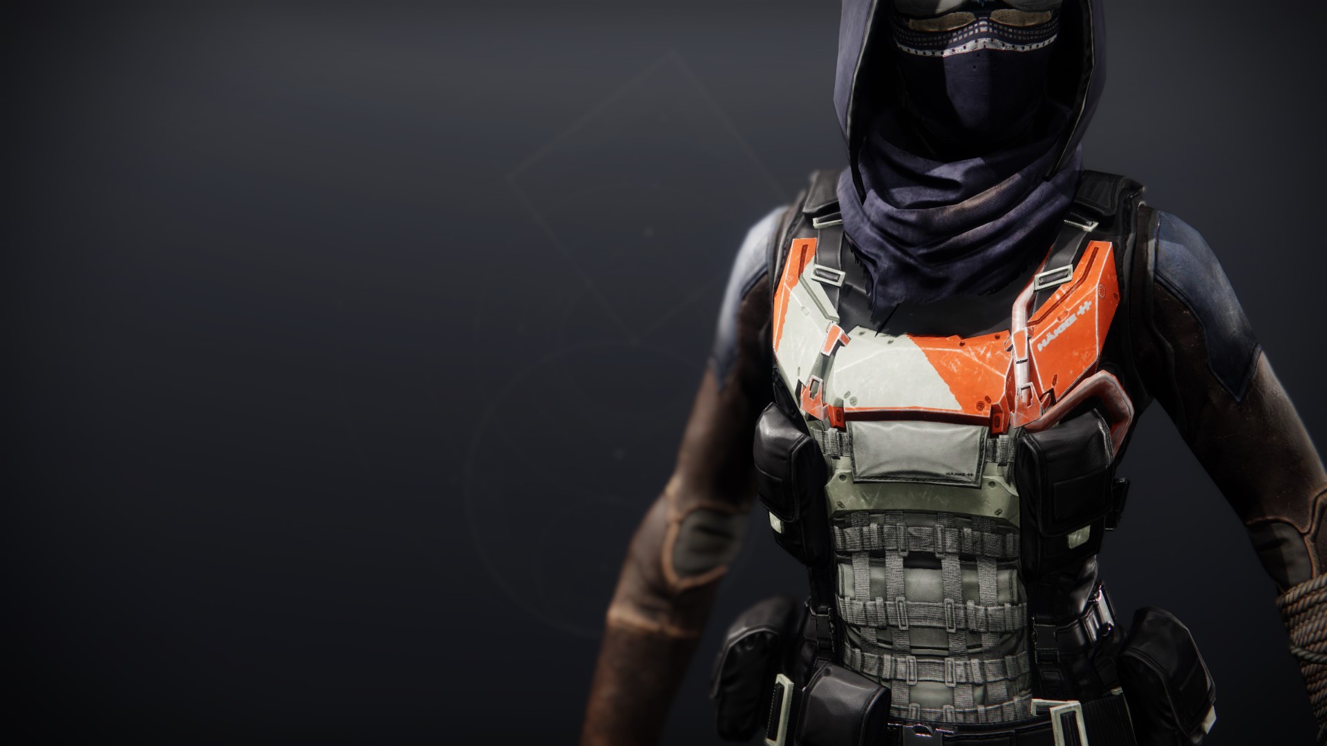 An in-game render of the Deep Explorer Vest.