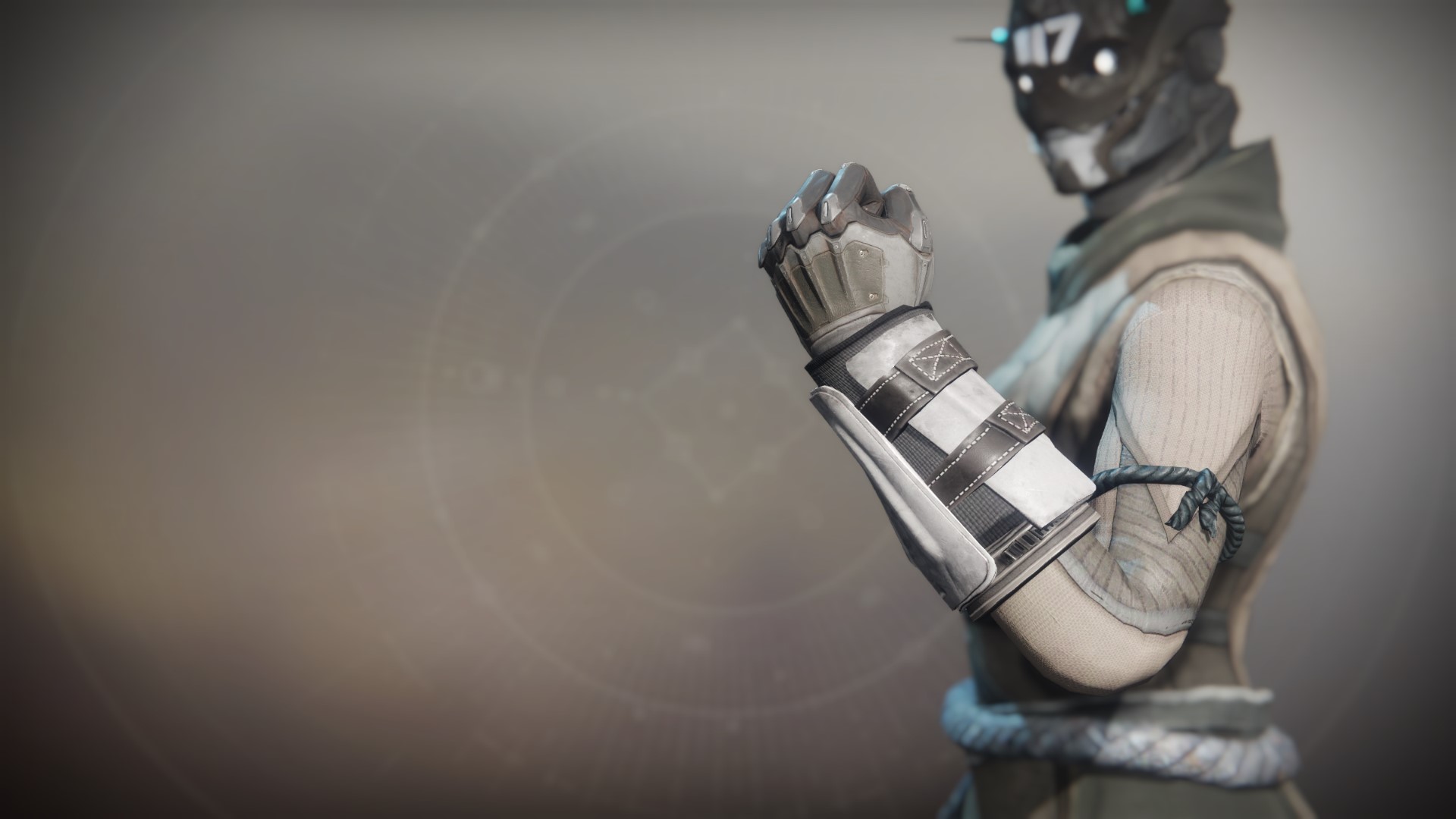 An in-game render of the Anti-Extinction Gloves.