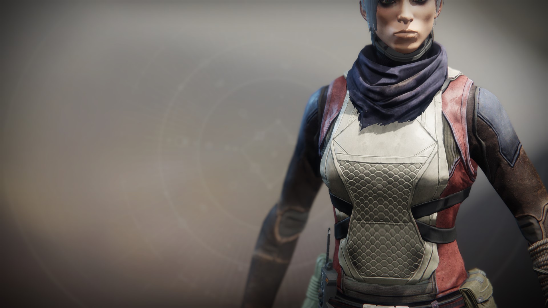 An in-game render of the Shieldbreaker Vest.