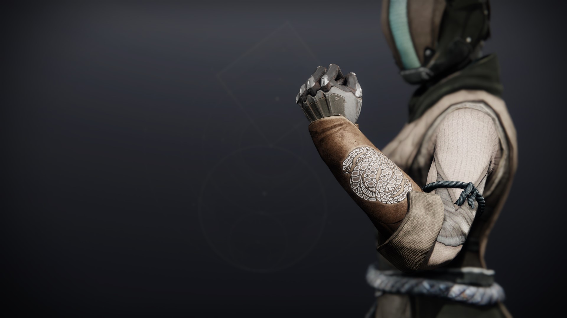 An in-game render of the Illicit Collector Gloves.