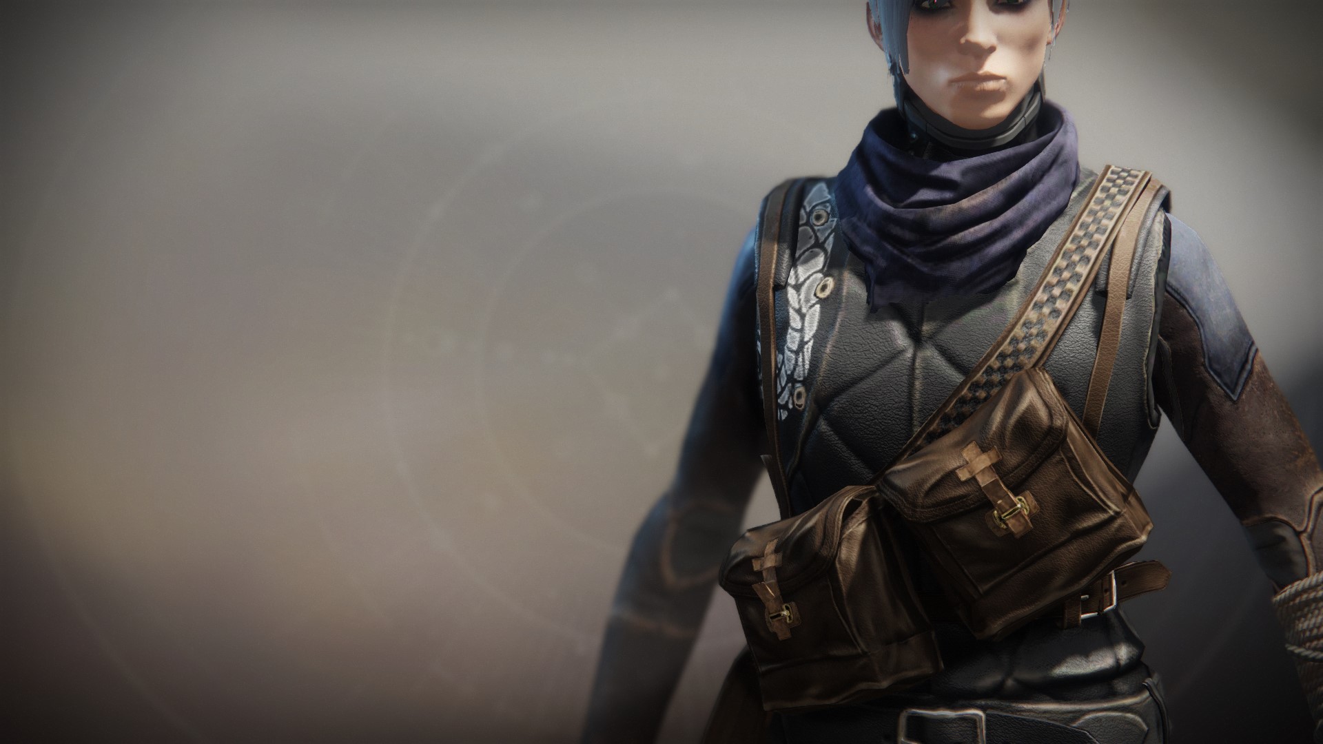 An in-game render of the Illicit Collector Vest.