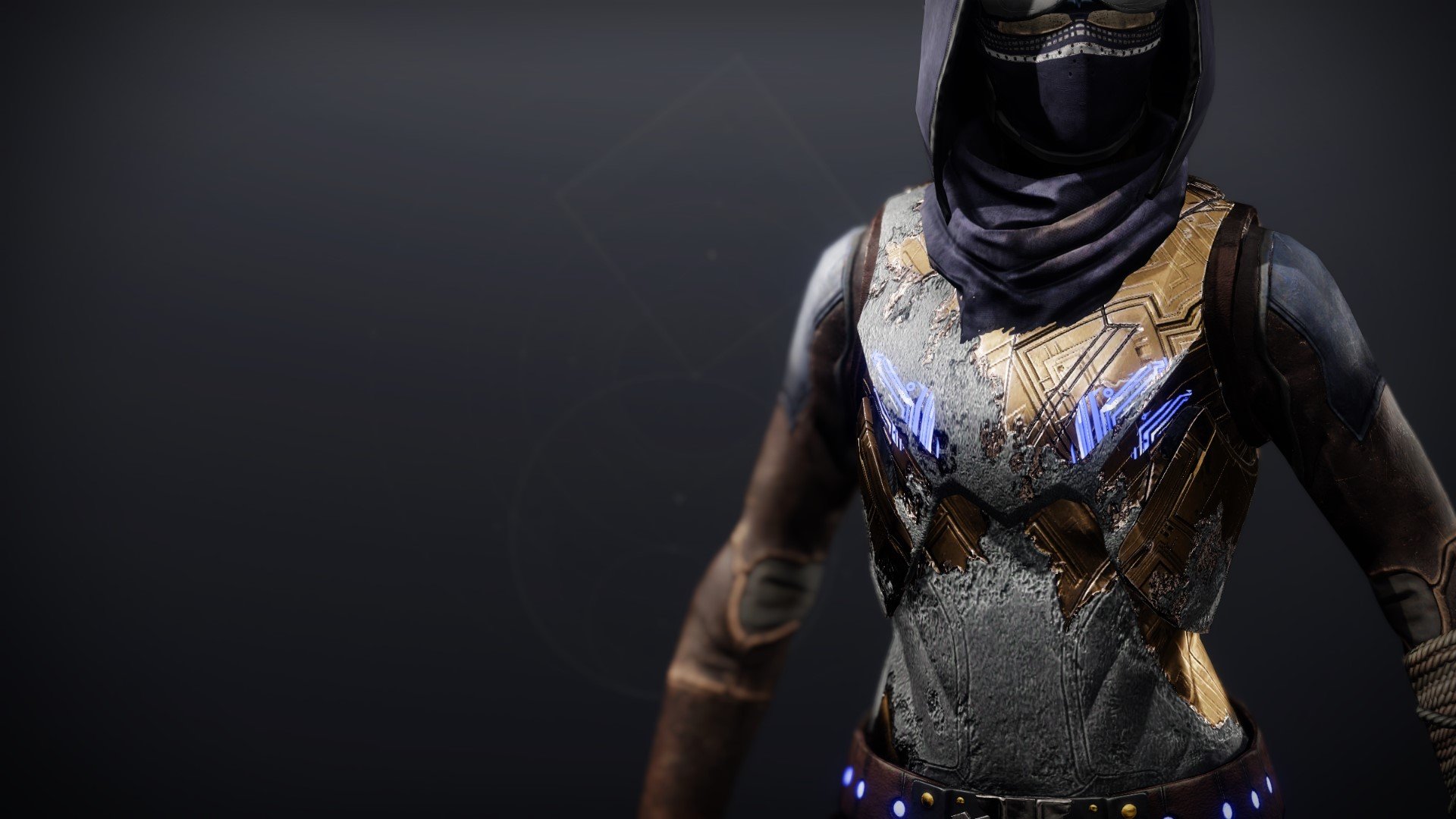 An in-game render of the Vest of Transcendence.