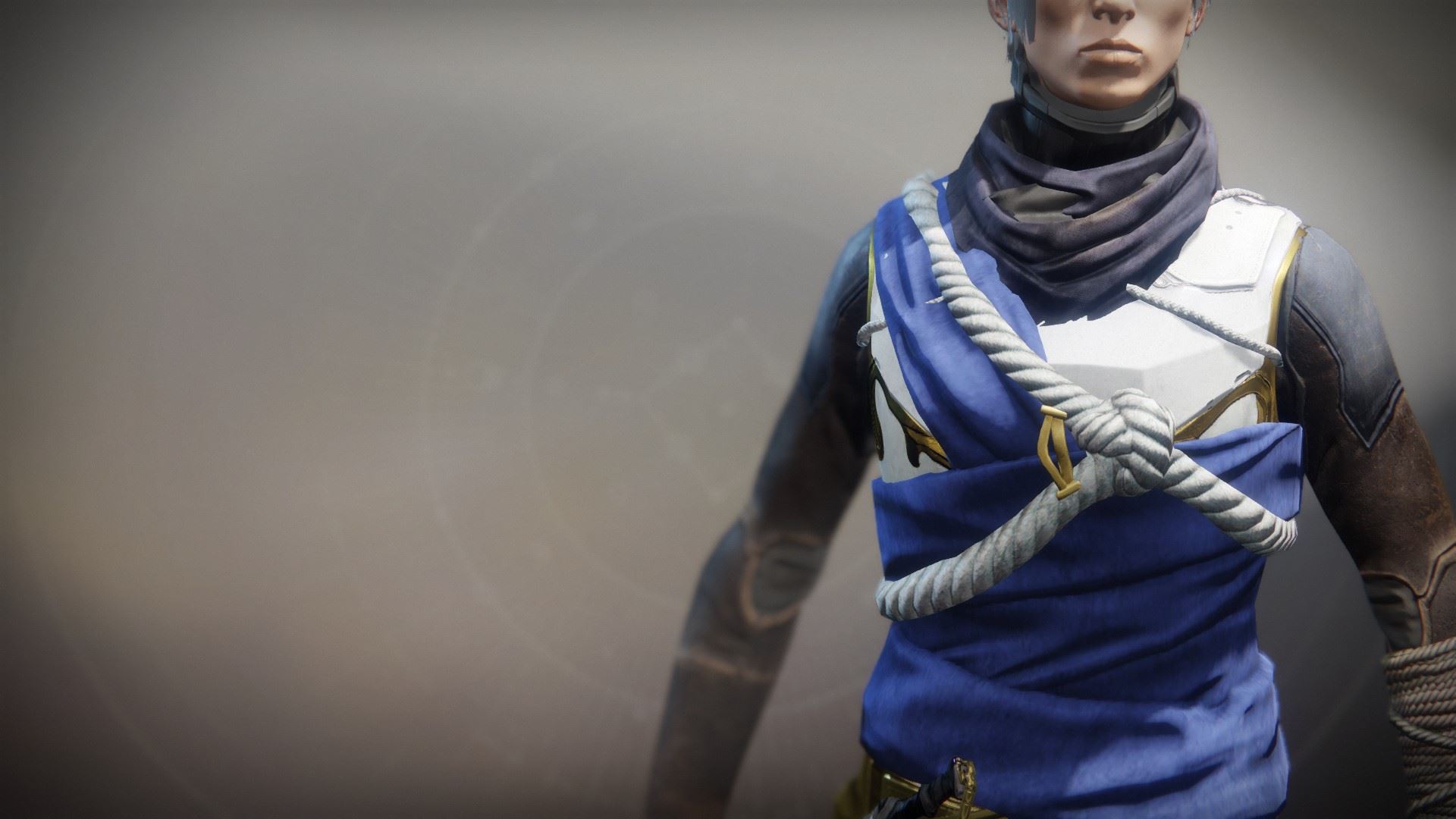 An in-game render of the Solstice Vest (Resplendent).