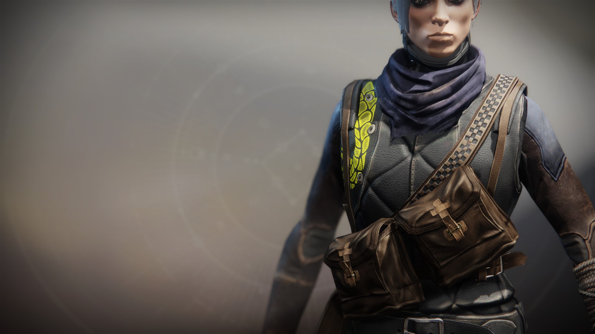 An in-game render of the Illicit Sentry Vest.
