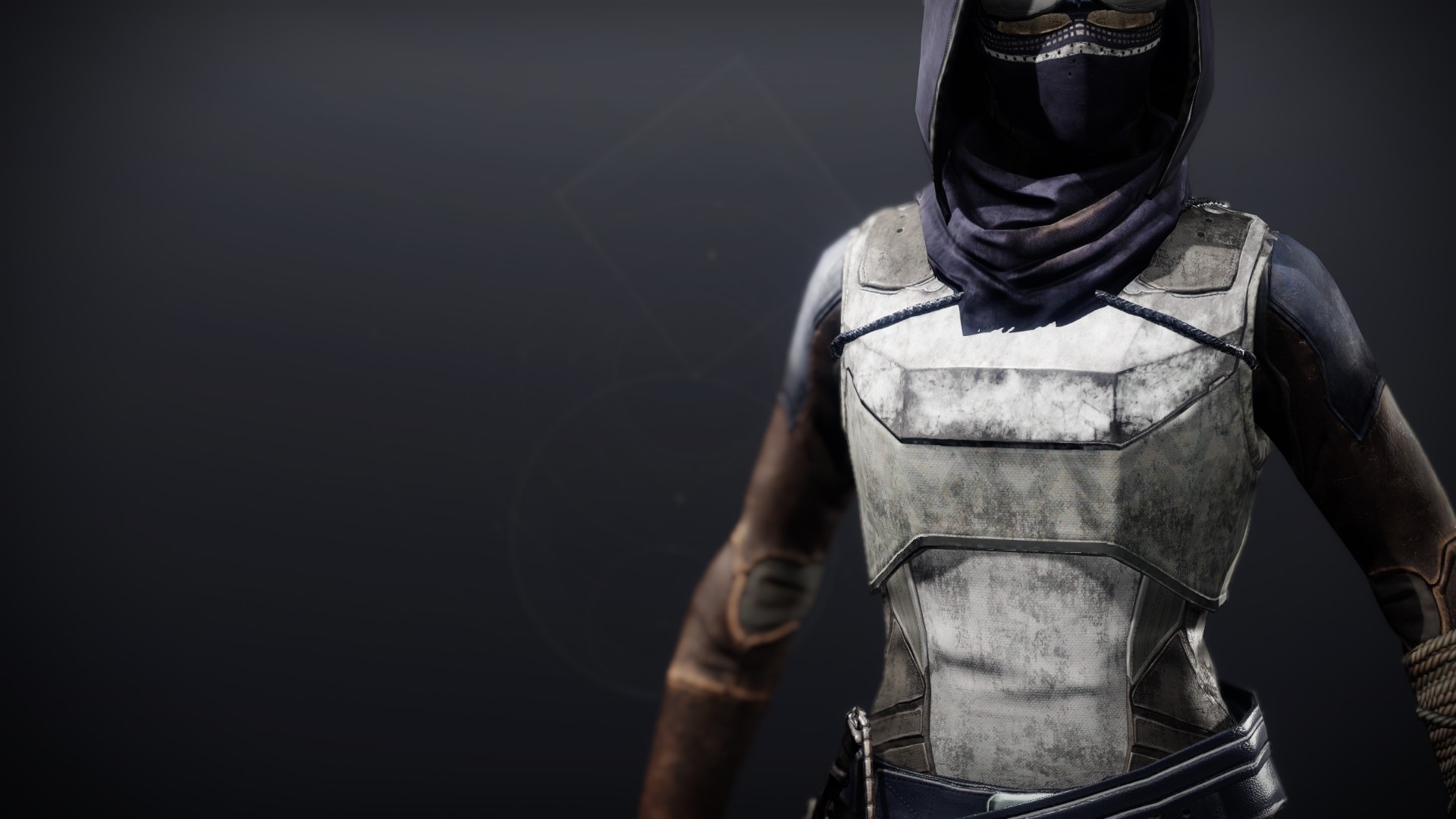 An in-game render of the Solstice Vest (Renewed).