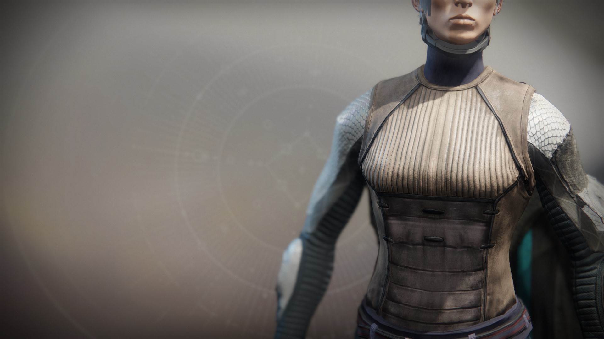 An in-game render of the Refugee Vest.