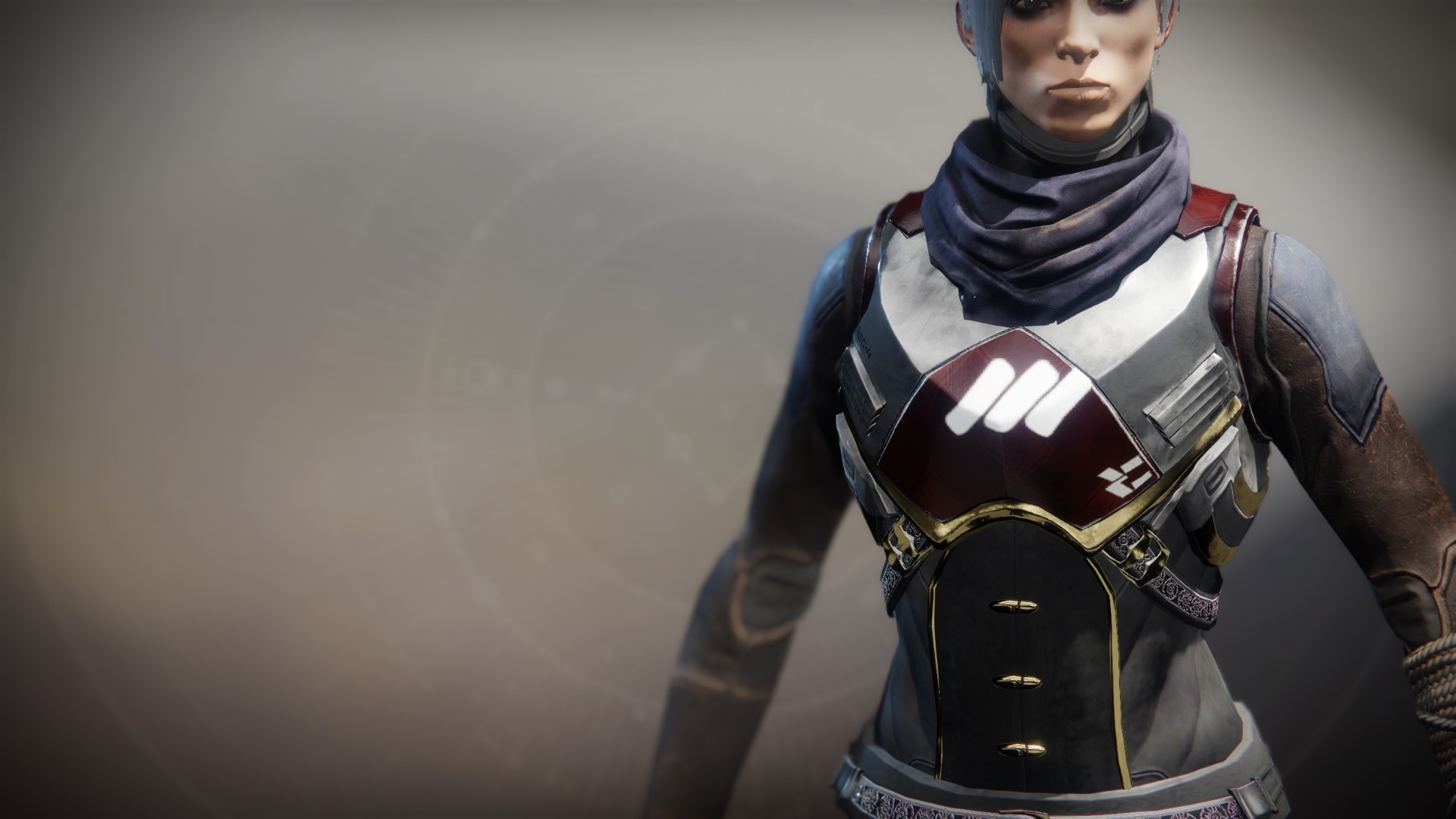An in-game render of the Sovereign Vest.