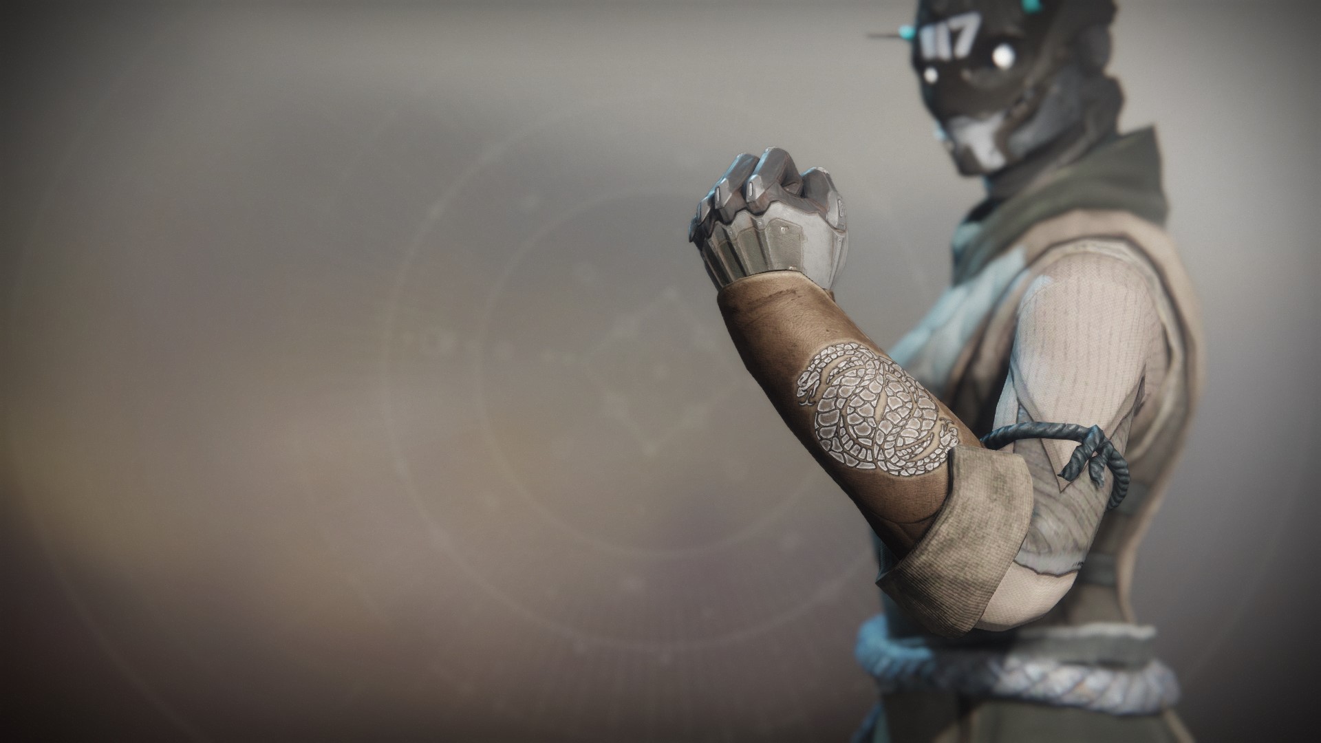 An in-game render of the Notorious Collector Gloves.