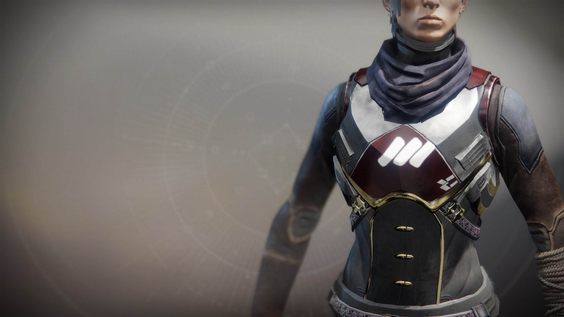 An in-game render of the Sovereign Vest.