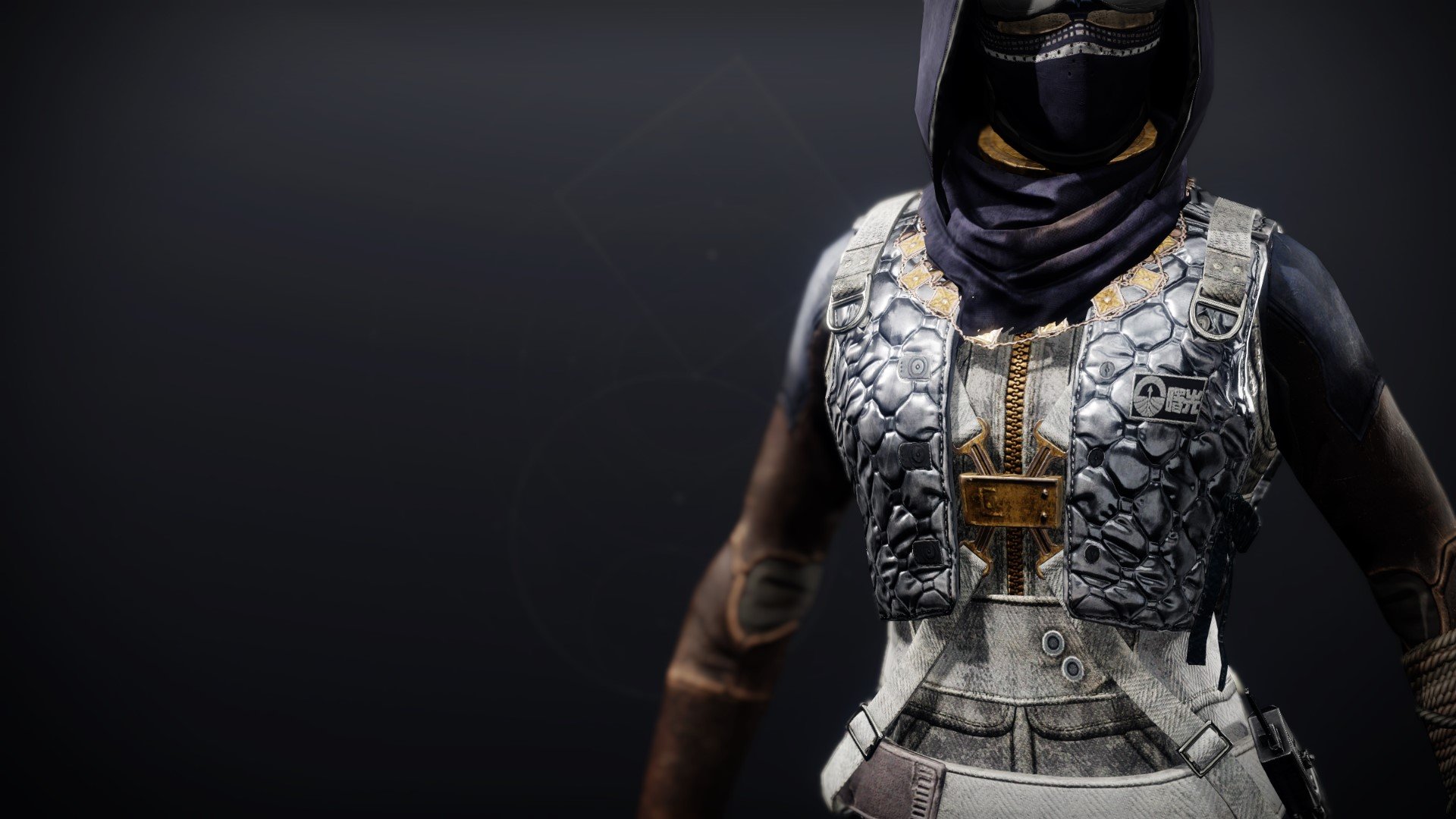 An in-game render of the Dreambane Vest.