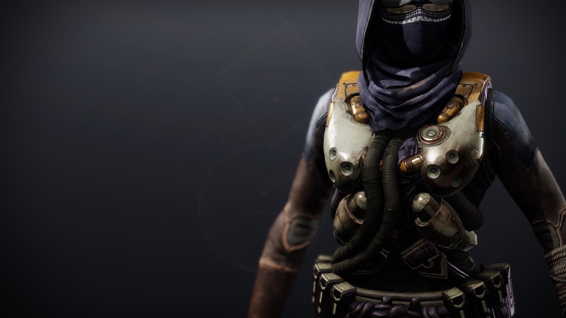 An in-game render of the Lightkin Vest.