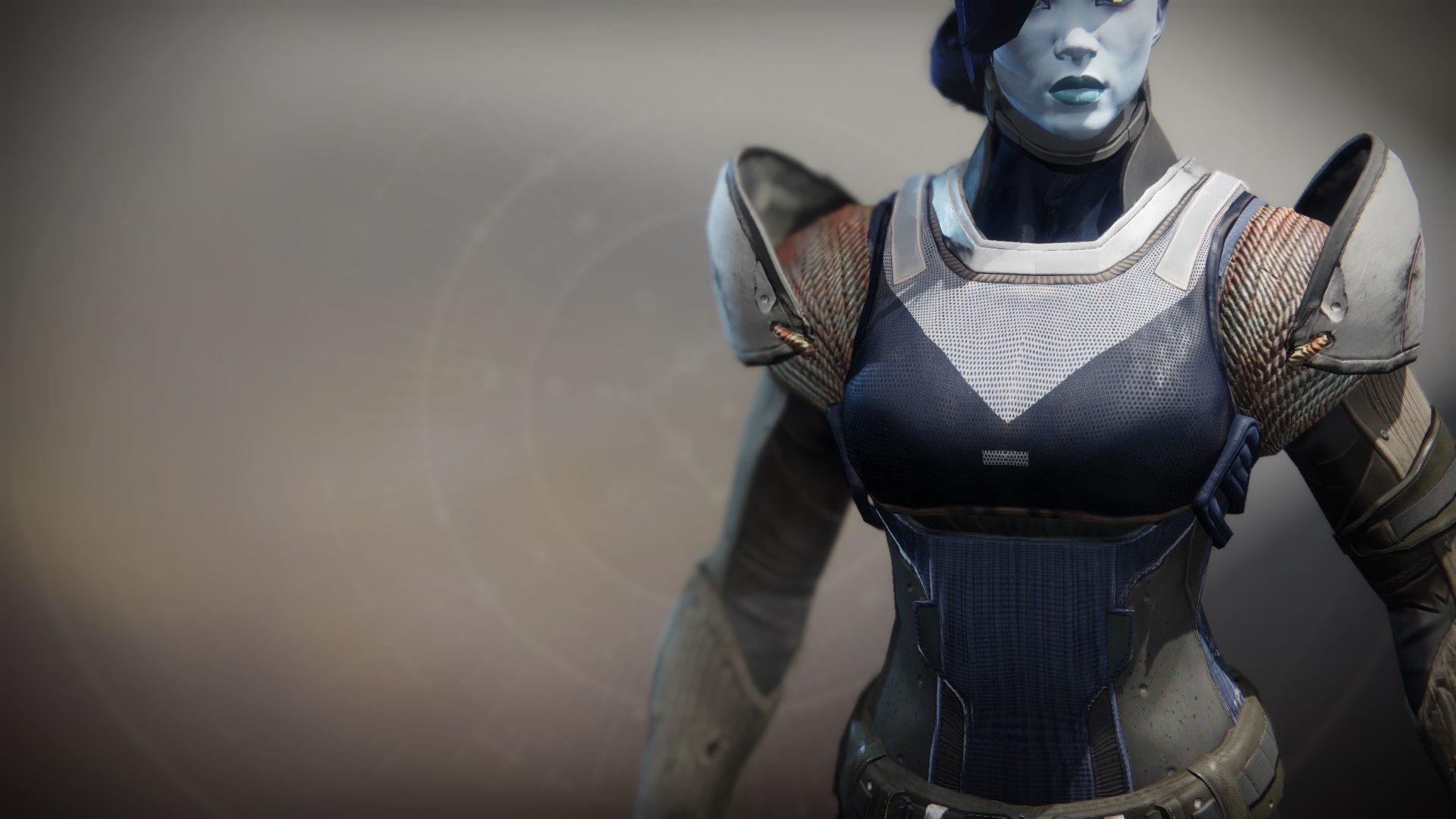 Fieldplate Type 10 (Uncommon Chest Armor) | Bungie.net.