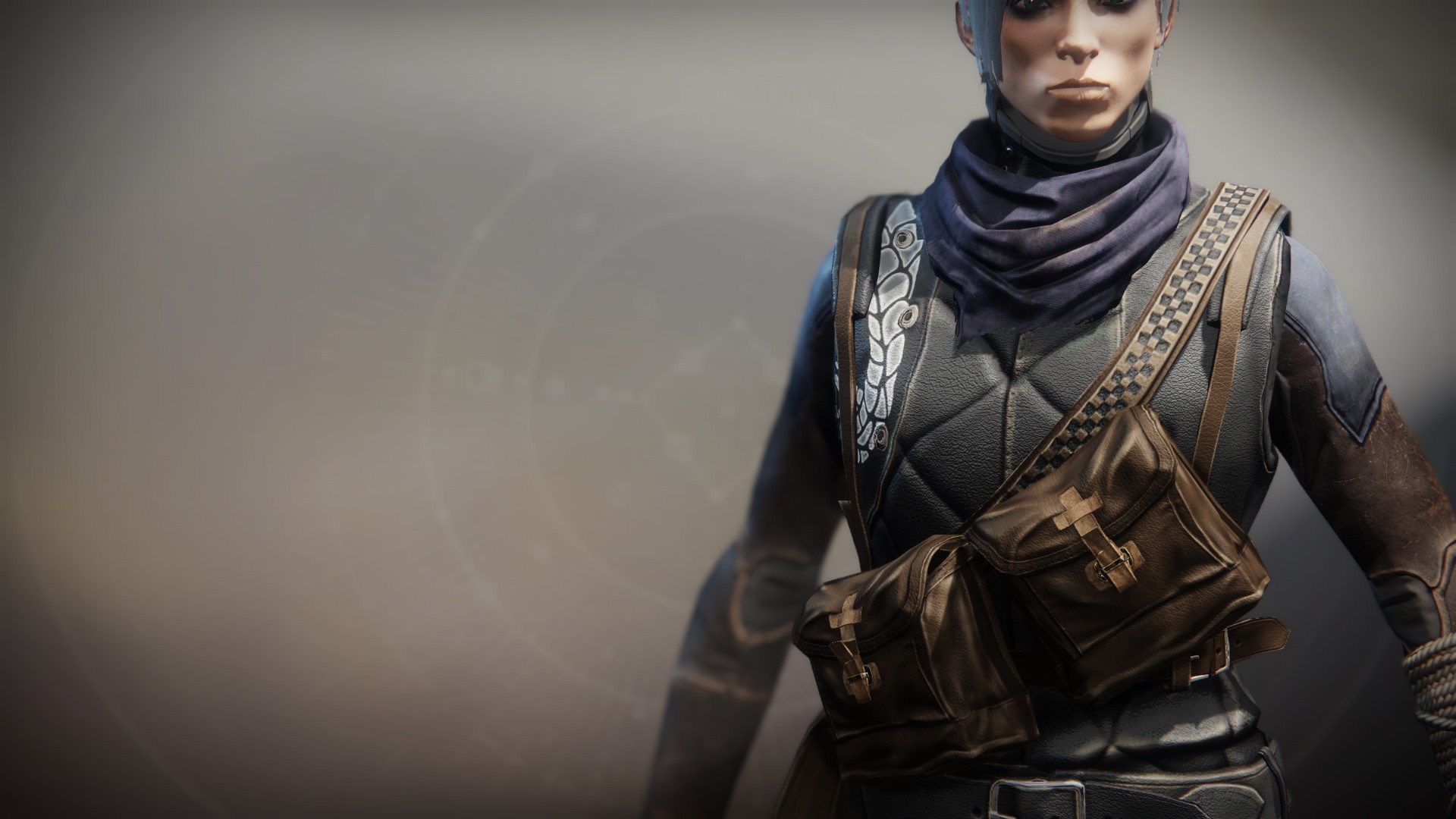 An in-game render of the Illicit Collector Vest.