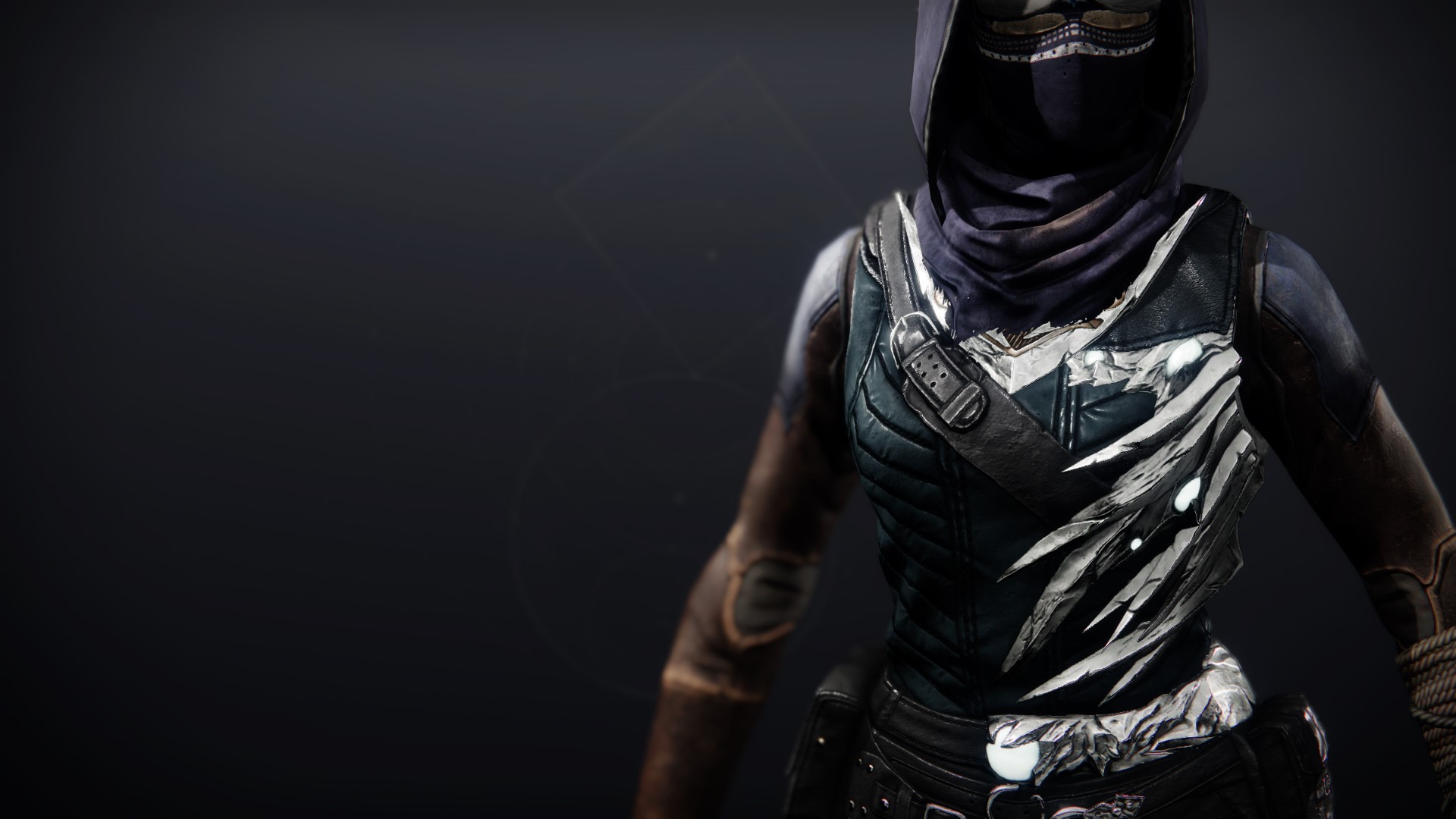 An in-game render of the Twisting Echo Vest.