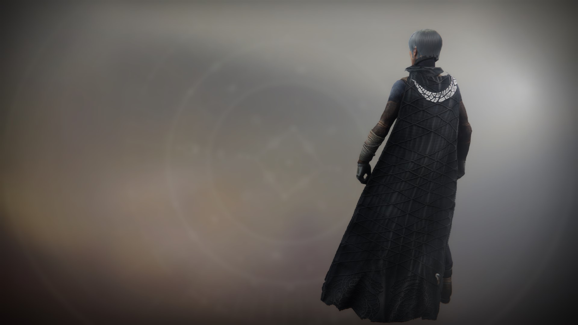 An in-game render of the Notorious Collector Cloak.
