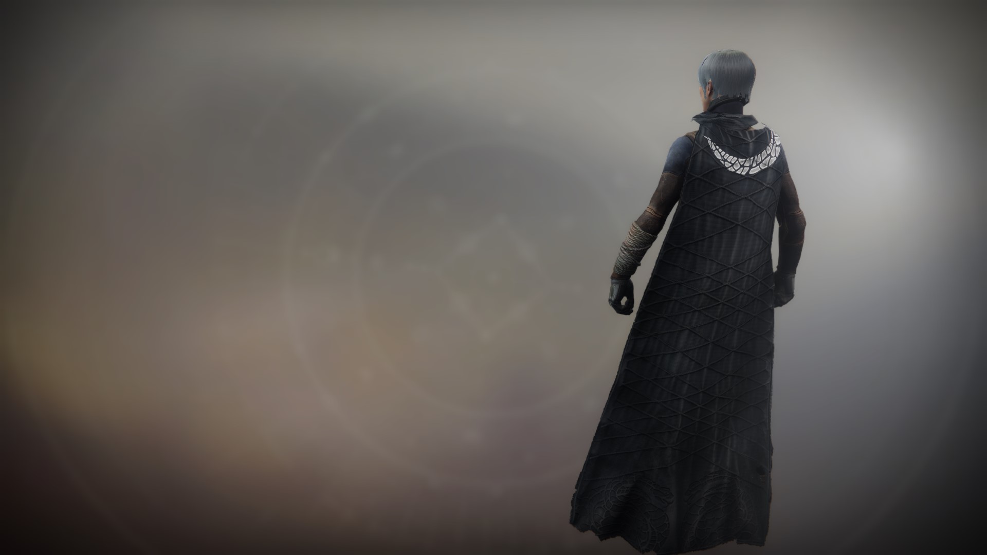 An in-game render of the Illicit Collector Cloak.