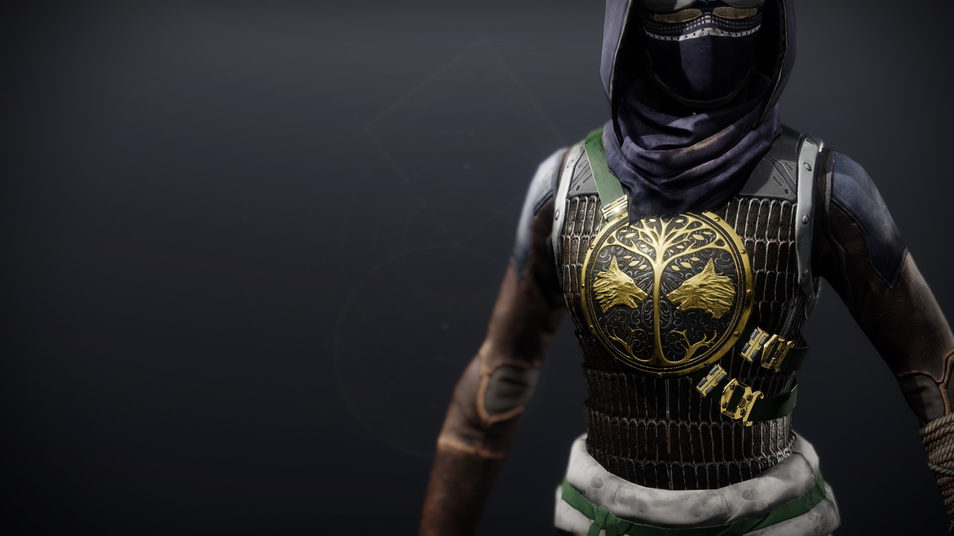 An in-game render of the Iron Truage Vest.