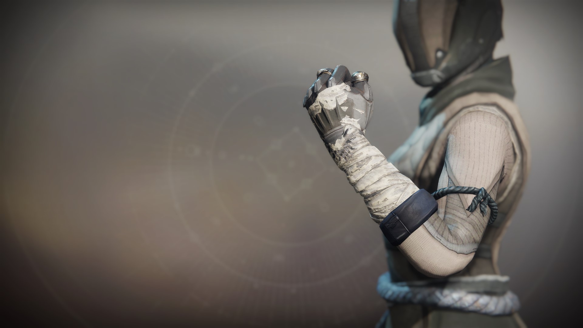 An in-game render of the Gloves of the Exile.