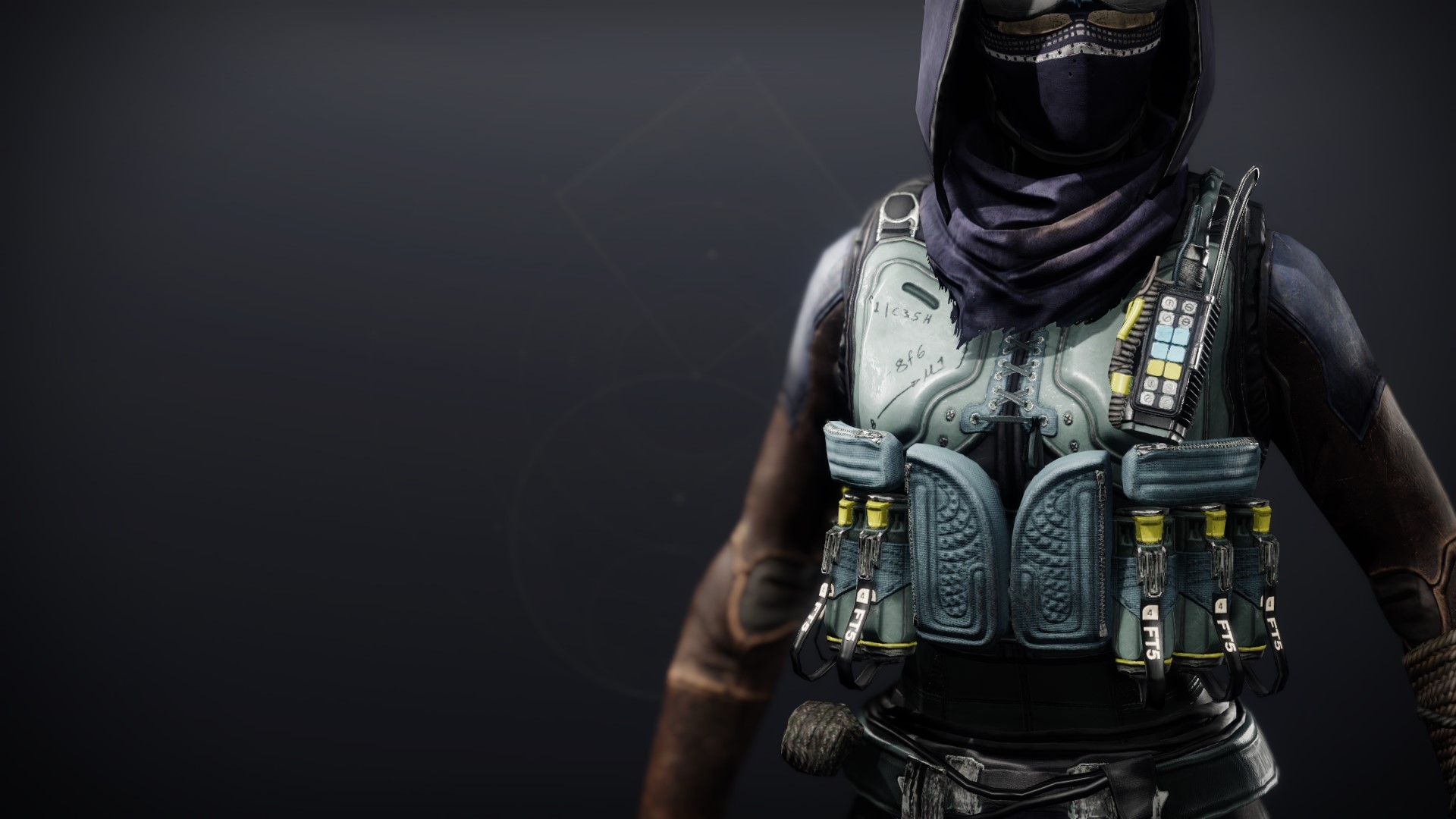An in-game render of the Crystocrene Vest.