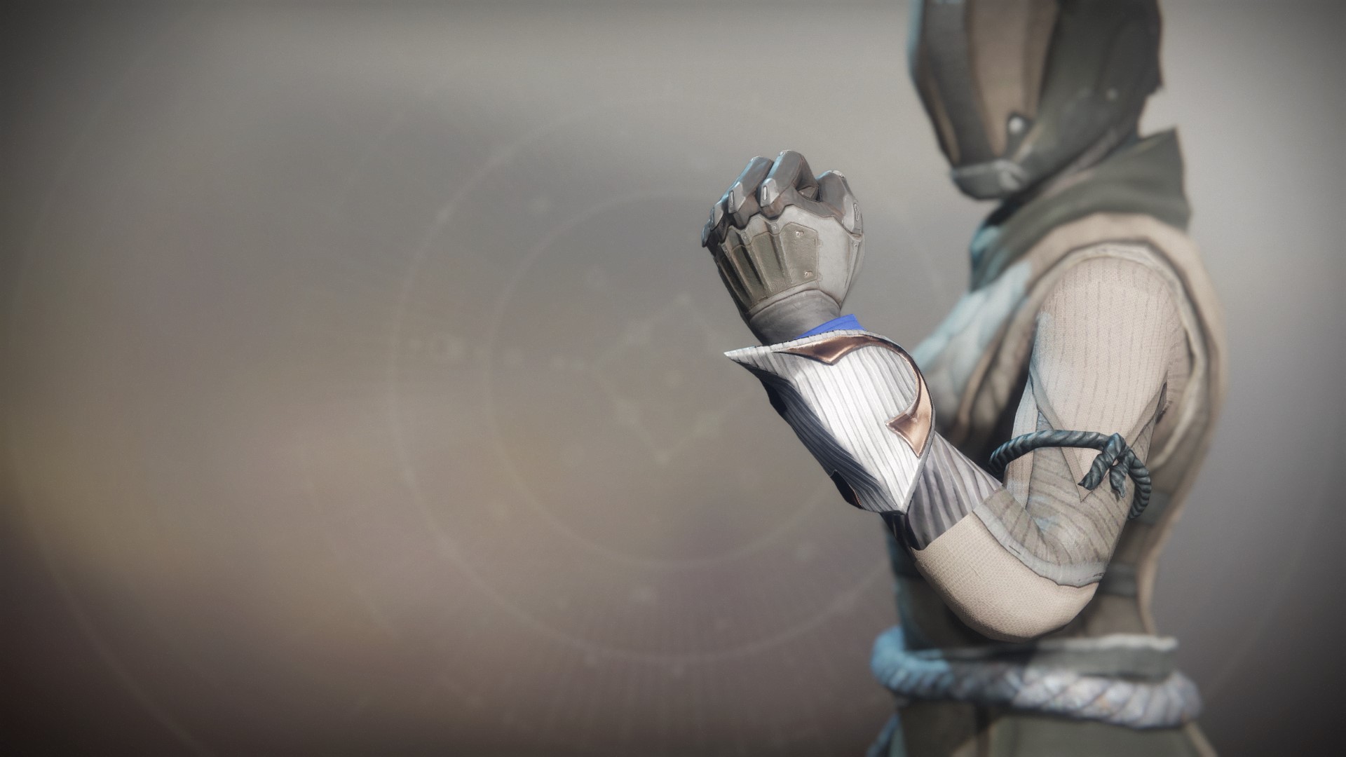 An in-game render of the Winterhart Gloves.