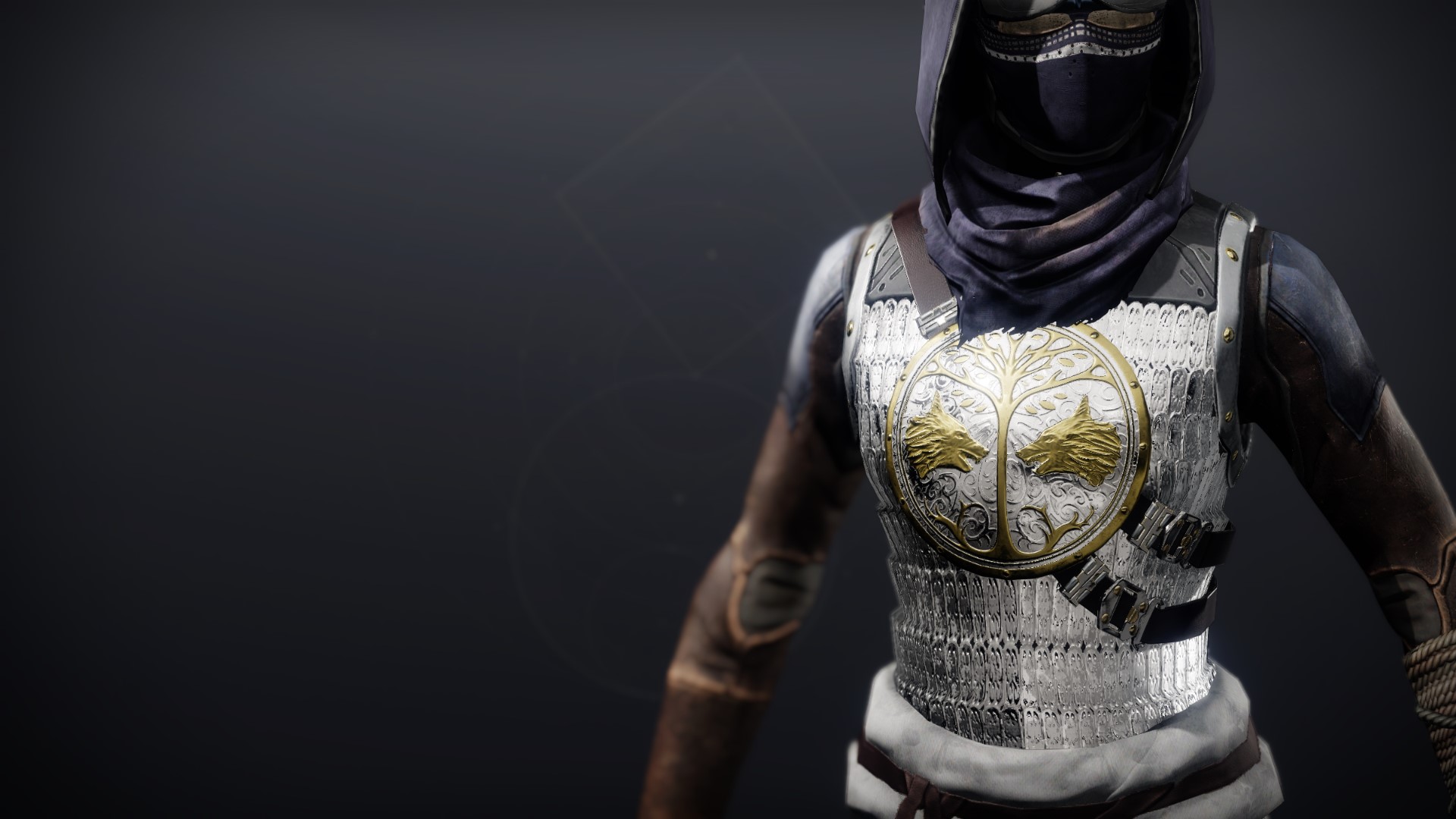 An in-game render of the Iron Truage Vest.