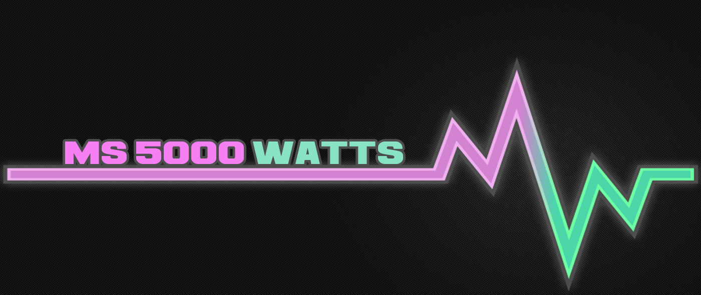 5000 watts ms Ms5000Watts